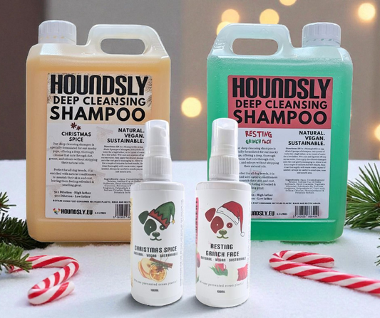 Festive Salon Bundle